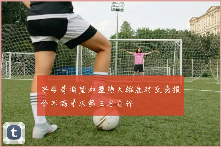 字母哥渴望加盟热火雄鹿对交易报价不满寻求第三方合作