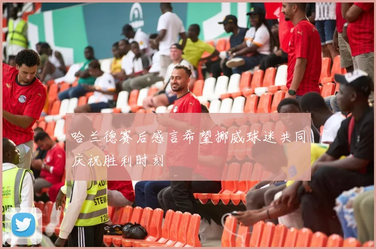 哈兰德赛后感言希望挪威球迷共同庆祝胜利时刻